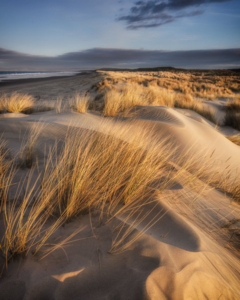 Dune Shapes