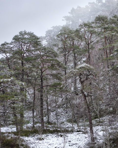 Across The River Affric