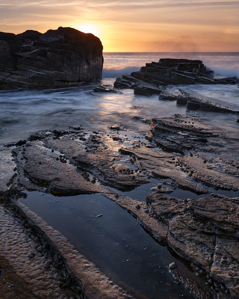 Basking Limpets